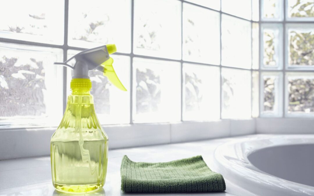6 Tips for The Cleanest Windows