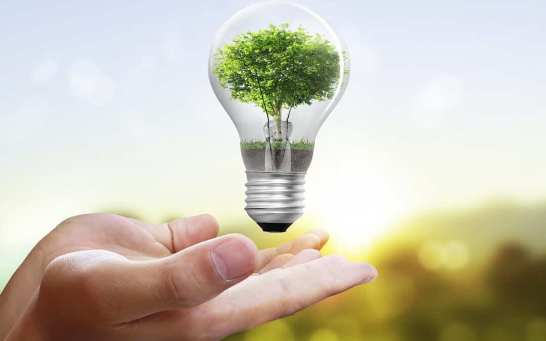 Energy Efficiency