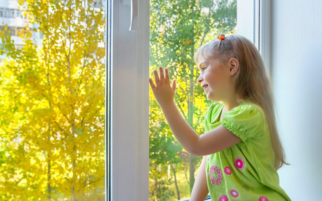 5 Questions to Ask Your Windows Specialist Before Your Buy