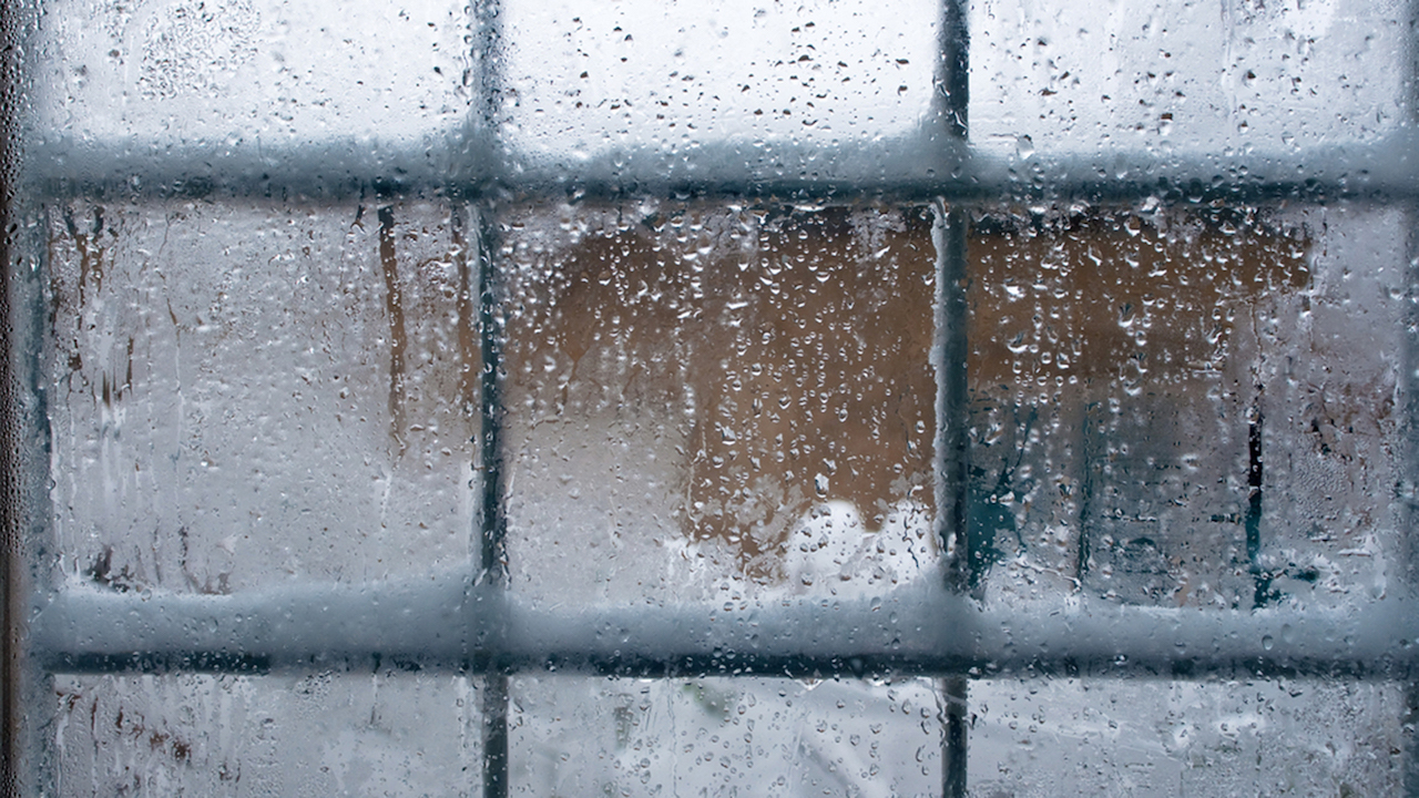Install New Windows Now to Get Energy Savings in Winter
