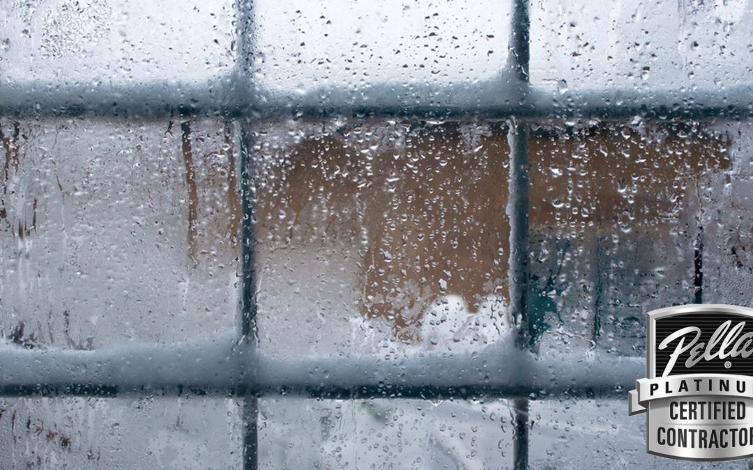Preparing Your Windows for Winter Winds