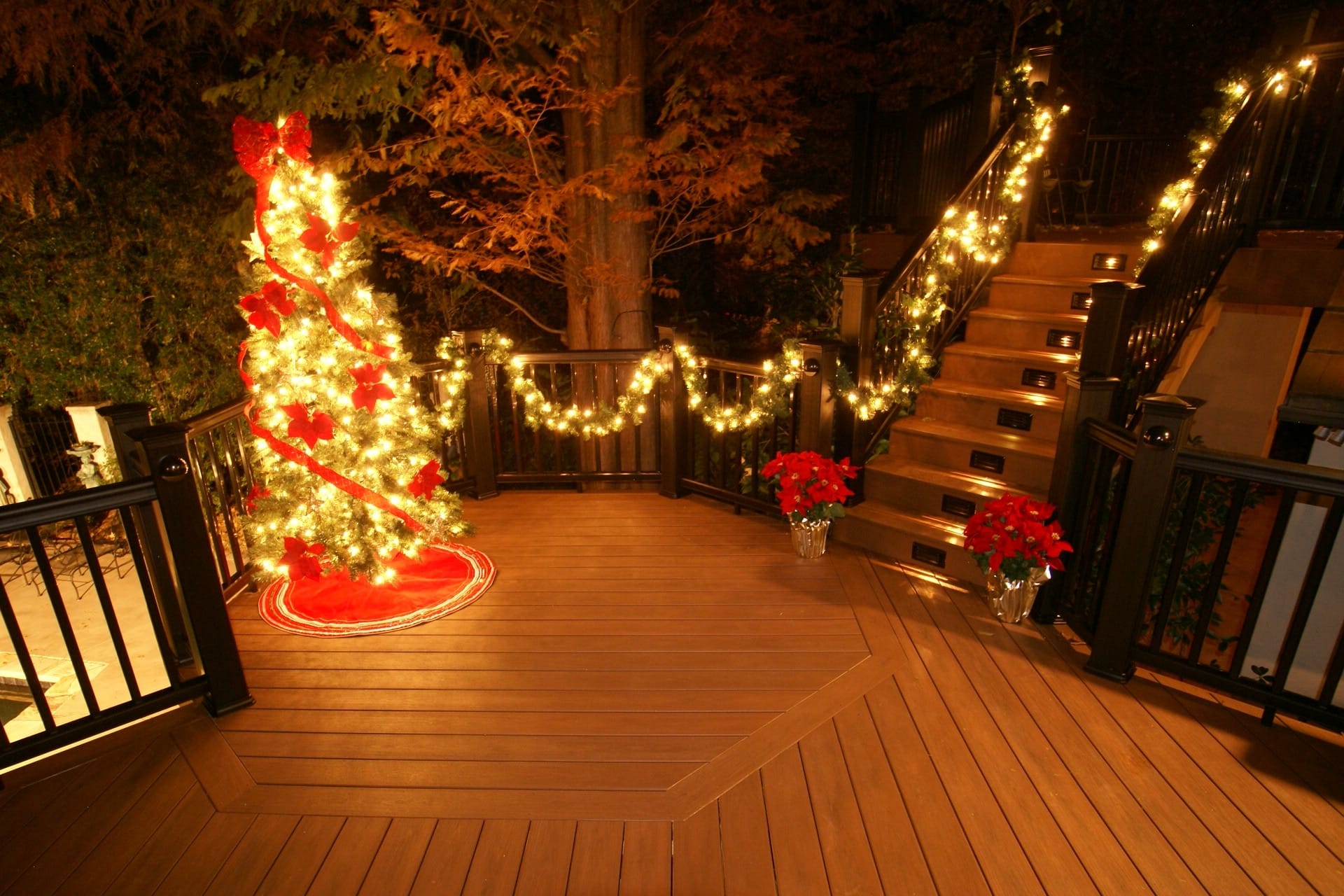 Deck the Halls: Where to Find the Most Magical Christmas Lights in National Parks