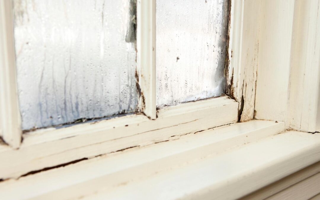 How to Tell if Your Windows are Suffering This Winter