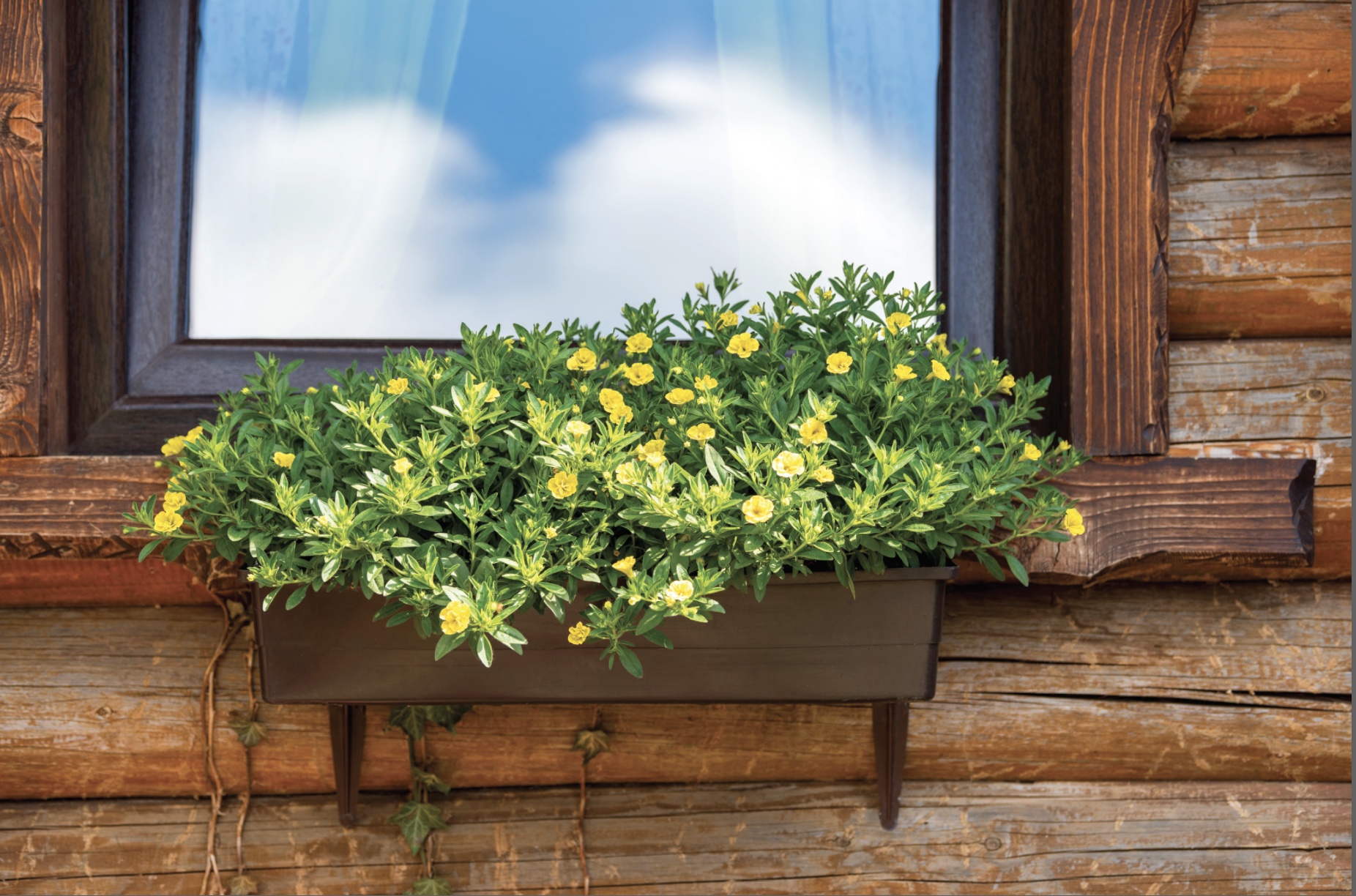 Garden window on wood house