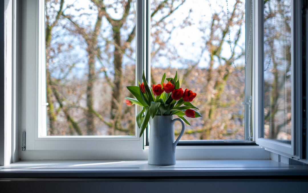 Why Summer is the Best Time to Replace the Windows