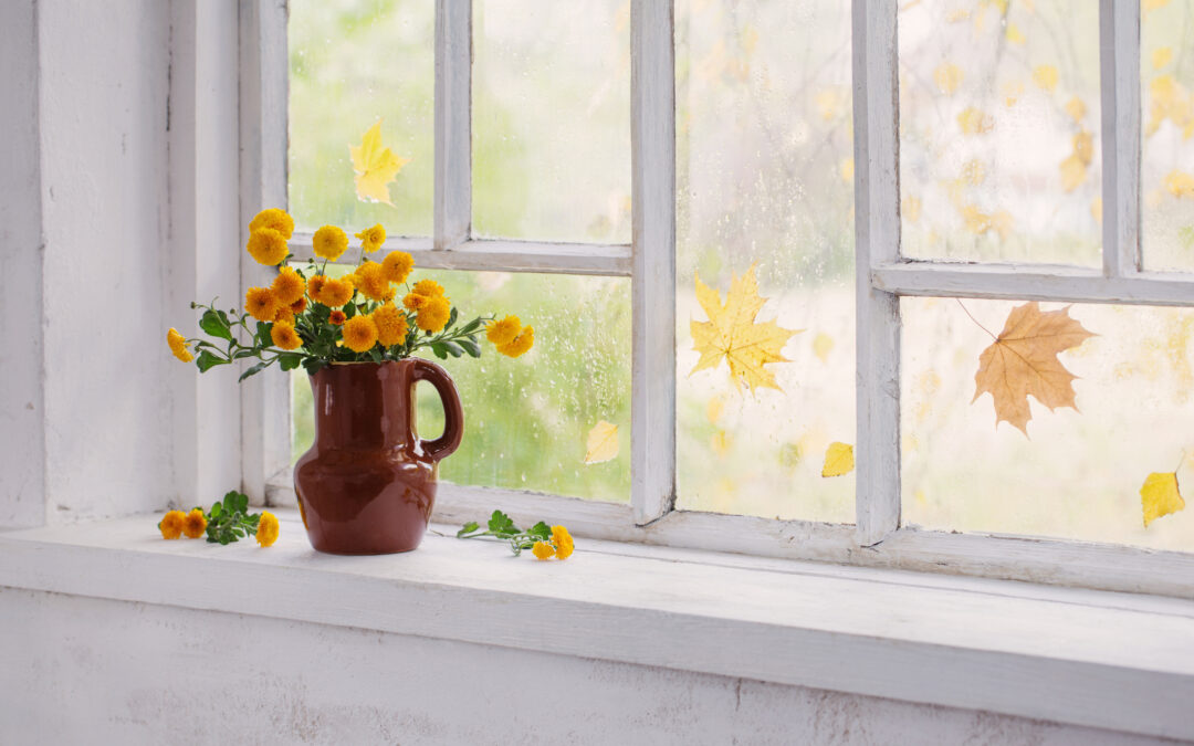 Replace Your Windows and Stay Cooler This Summer