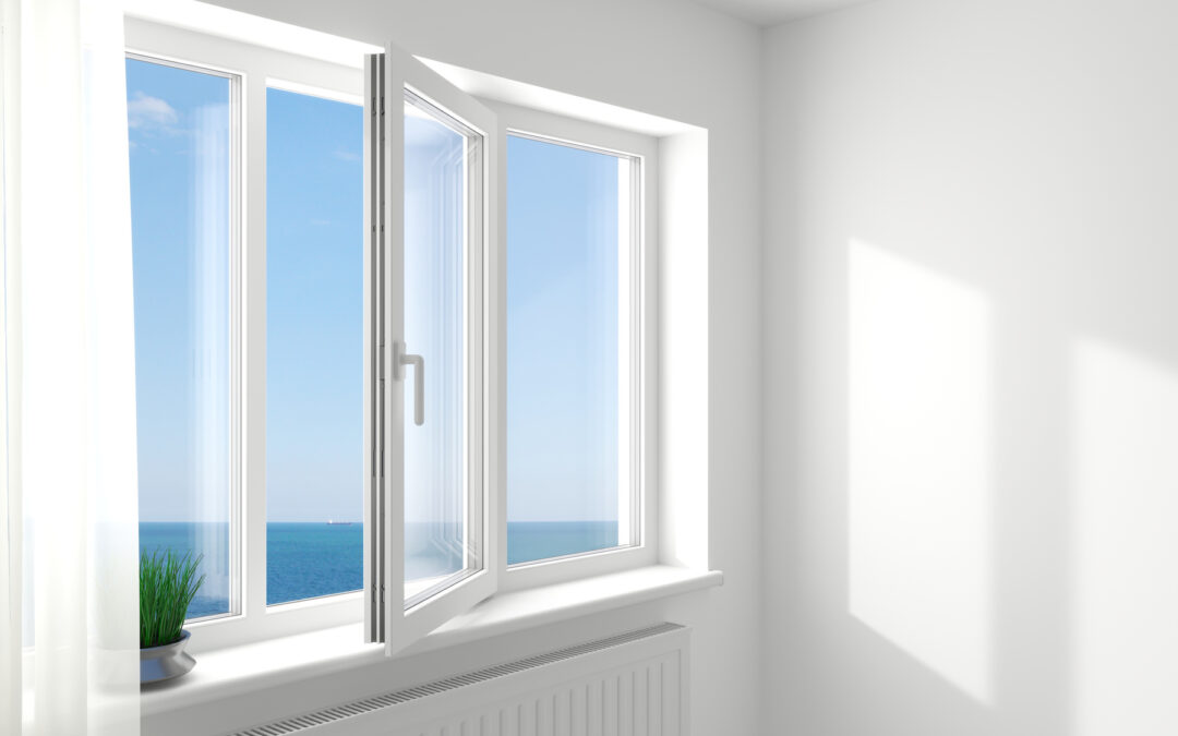 The 6 Most Popular Window Styles