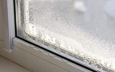 Can New Windows Reduce Humidity in My Home?