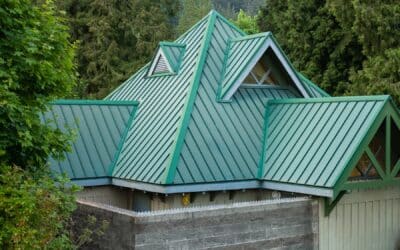 Choosing the Right Shingles for Your Roof