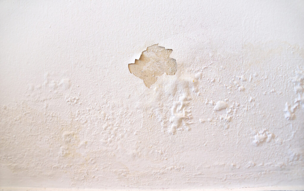 water damage from roof leak