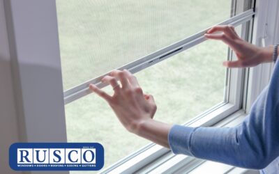 Noise Reduction 101: Best Window Solutions for Busy Streets