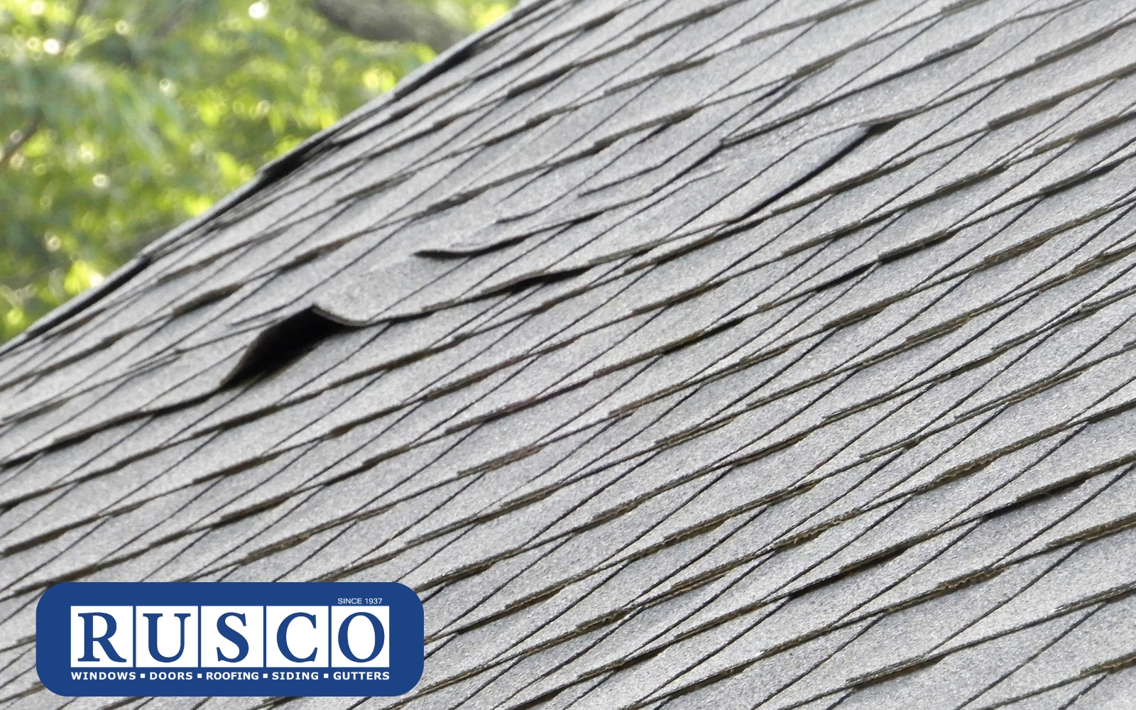 Is It Time to Replace Your Aging Roof Is It Time to Replace Your Aging Roof?